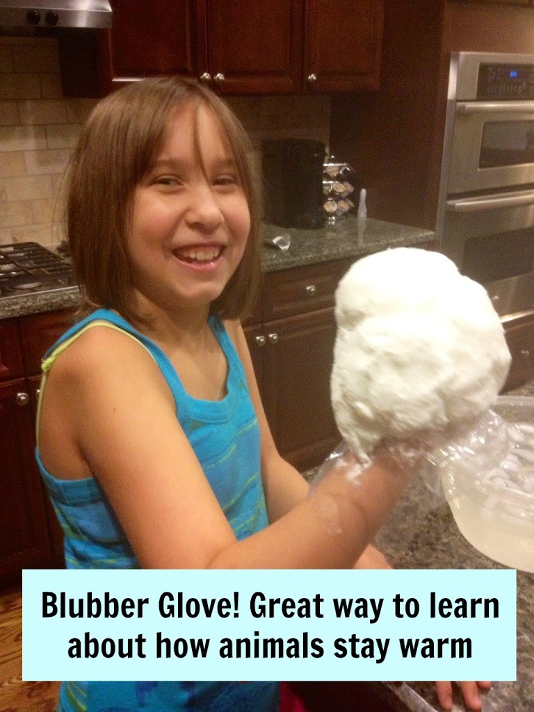 Blubber Glove 