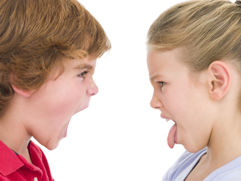 Let'em Fight! Why Sibling Fights are Actually a Good Thing