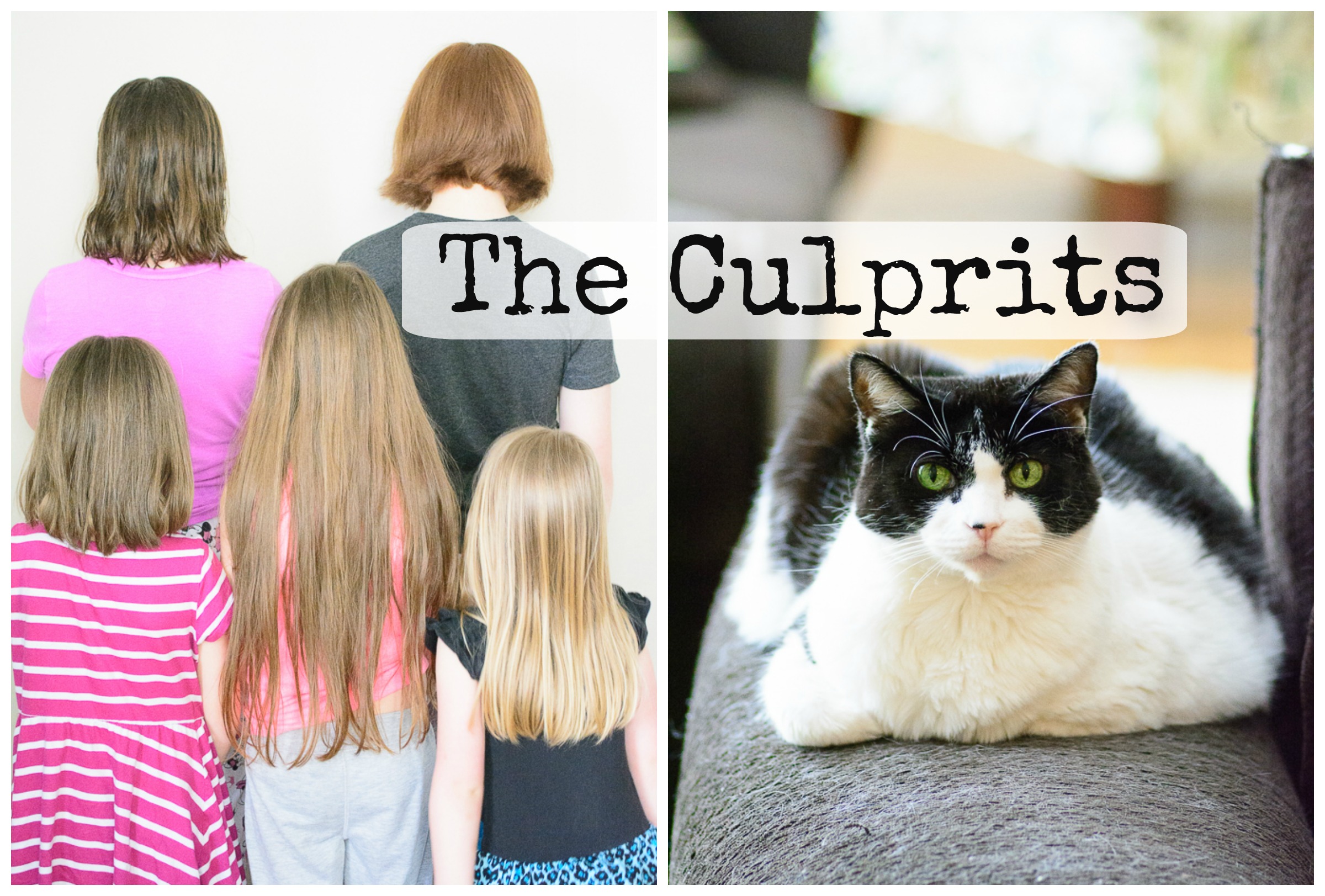 the culprits