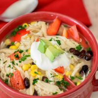 Slow Cooker Tex Mex Chicken Soup. So delciious and so comforting. Super easy to make in the crock-pot with just 10 min prep time. Yum!