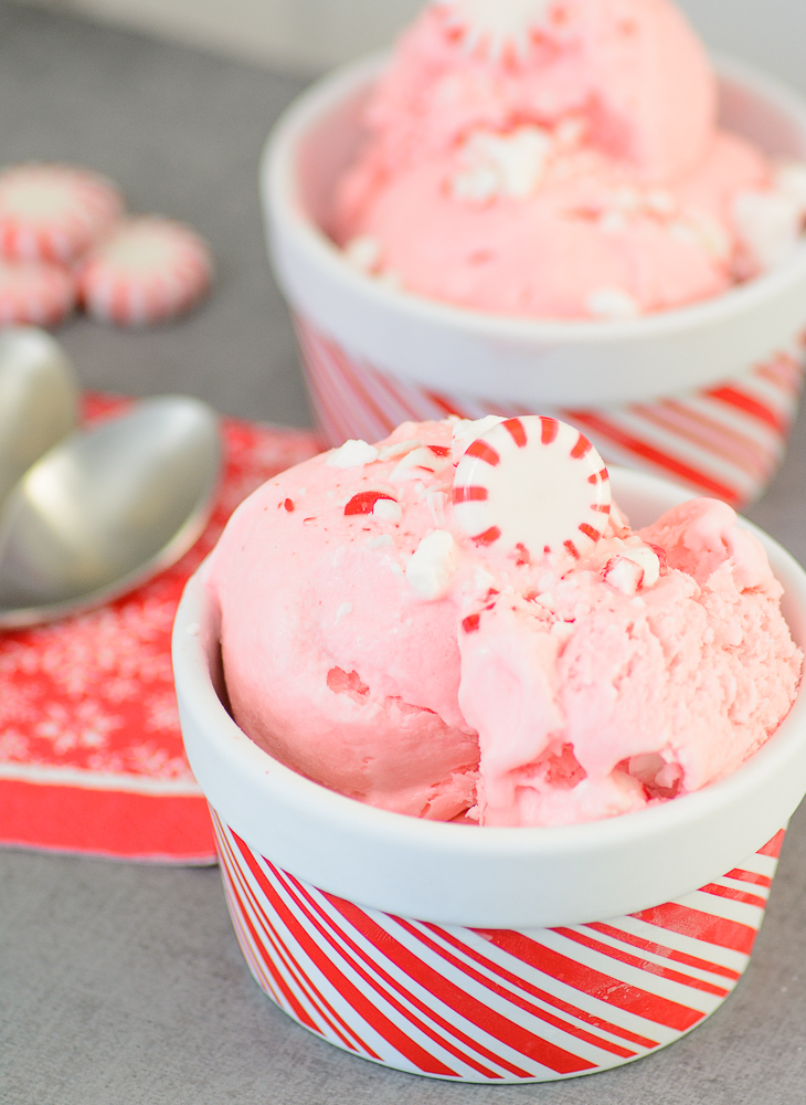 3 Ingredient No Churn Peppermint Ice Cream. This homemade peppermint ice cream is so delicious and easy that it make make Santa skip the cookies this year! 