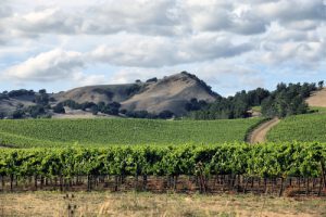 8 Most Romantic Cities in the US. Napa Valley, CA